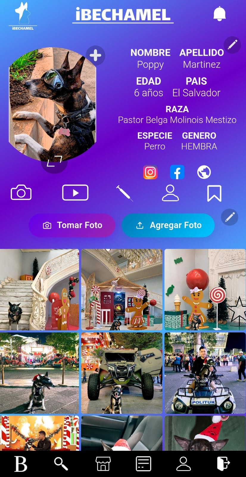 Perfil de mascota en iBechamel